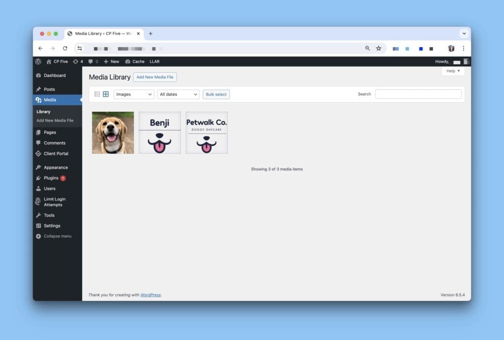 Screenshot showing the Media Library in WordPress