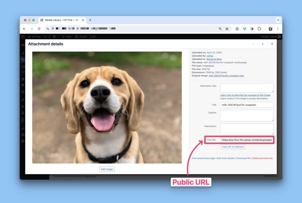 Screenshot showing the public URL in the media library